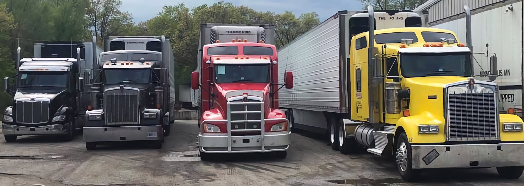 Matrix Transport Logo